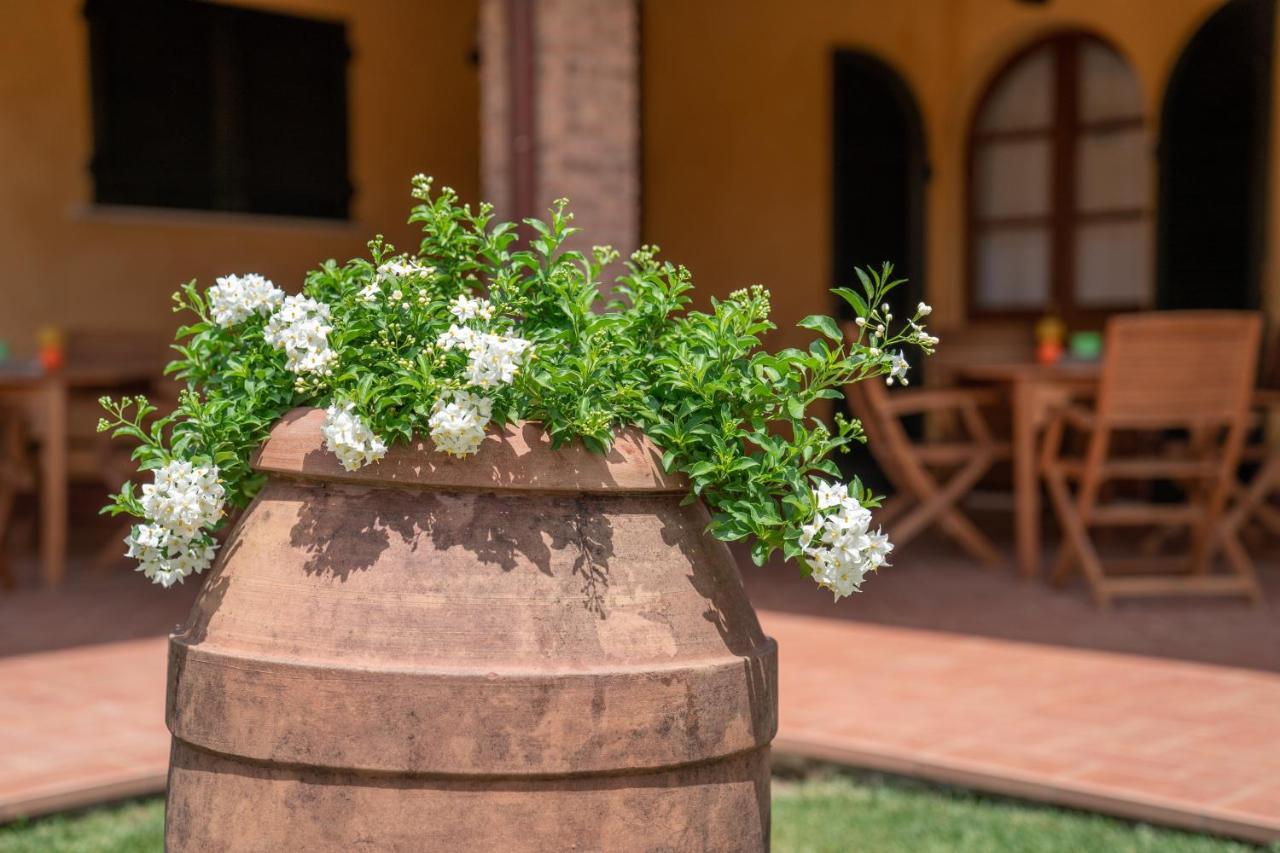 Borgo Bernabei Guest House Buriano  Екстериор снимка